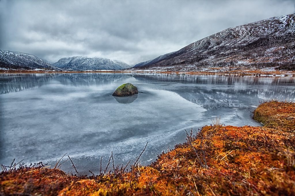 Dovrefjell-Sunndalsfjella National Park