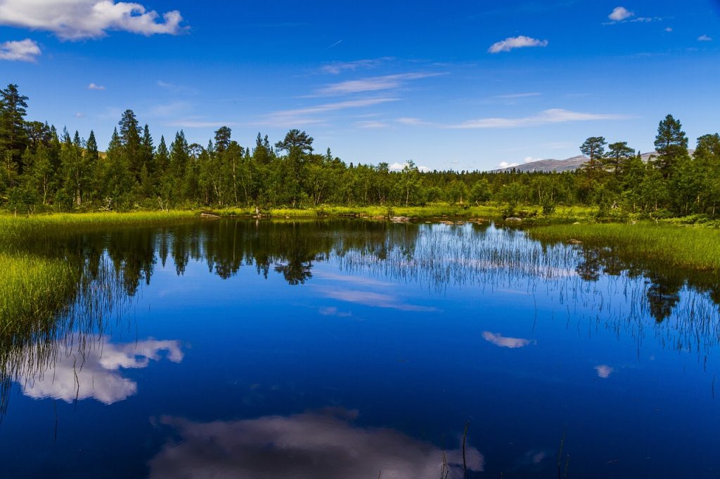 Børgefjell and Femundsmarka National Parks