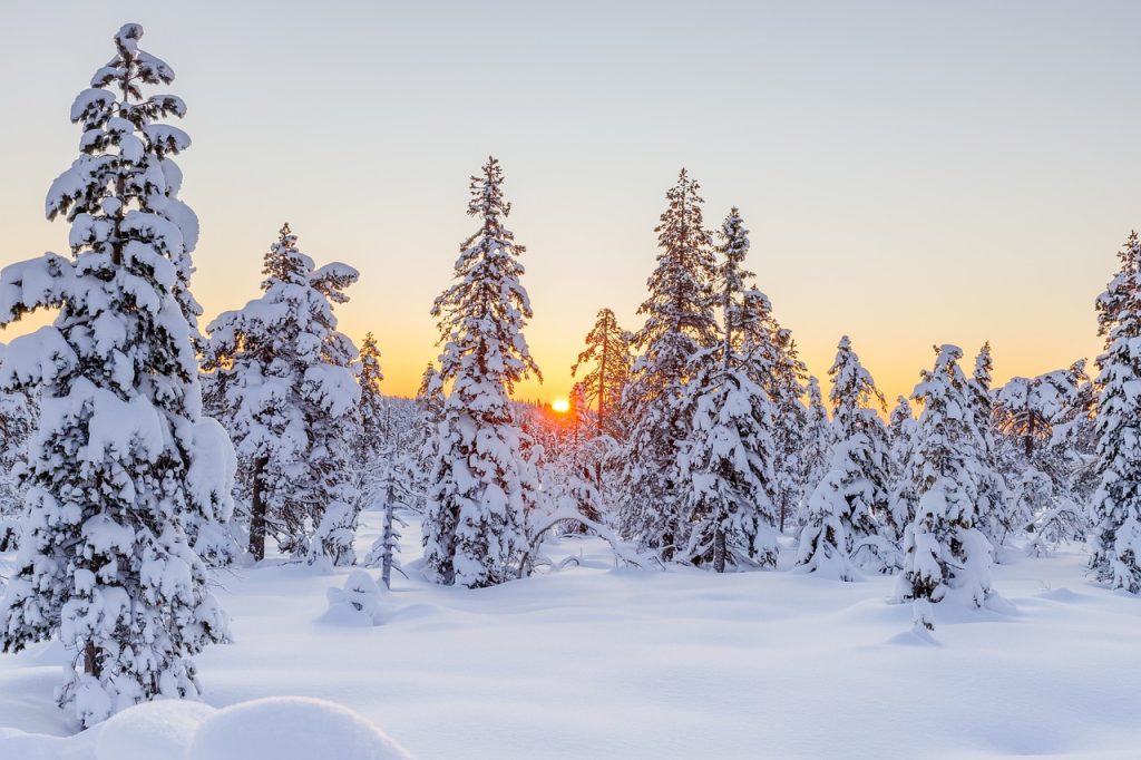 Norway Winter